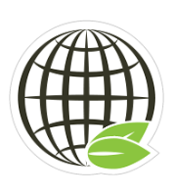 Eddie Ortegas Global Development